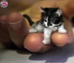 tu trouves de tout !!